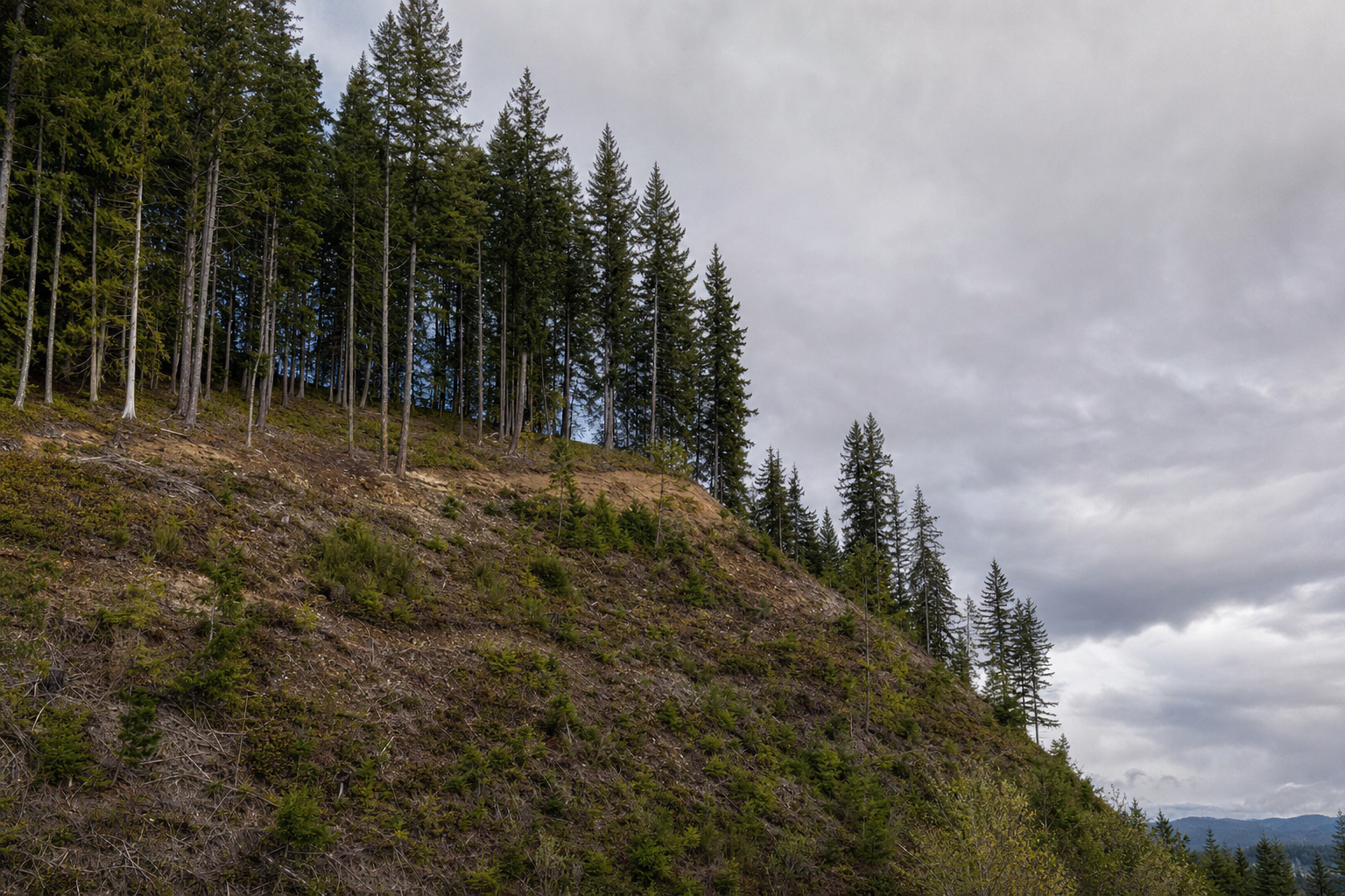 Vacant land parcel in the Pacific Northwest showing slope and natural vegetation, aerial view