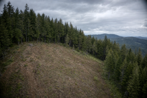 SiteFacts professional services guide -- what your land project requires before permits